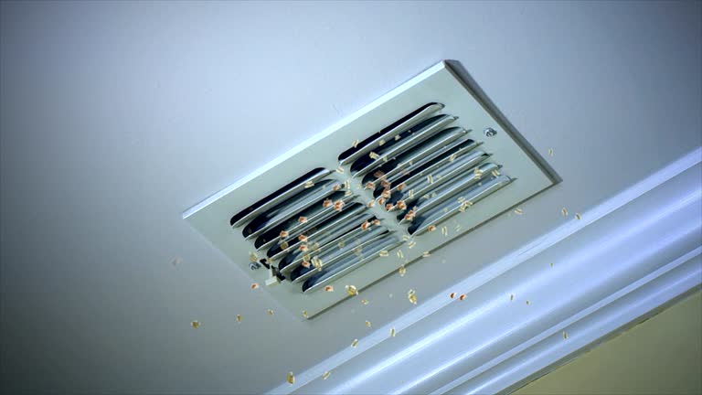 Best Affordable Air Duct Cleaning  in Decordova, TX