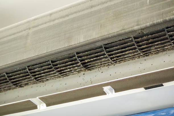 Best HVAC System Cleaning  in Decordova, TX